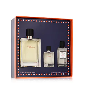Hermes Terre D'Hermès zestaw dla mężczyzn Woda toaletowa 100 ml + Woda toaletowa 12,5 ml + Woda po g