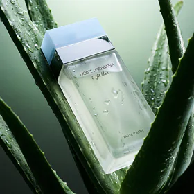 Dolce&Gabbana Light Blue Woda toaletowa dla kobiet 50 ml