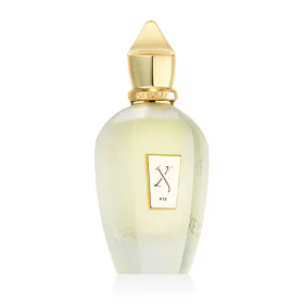 Xerjoff Sketchbook P.33 Perfum 100 ml U