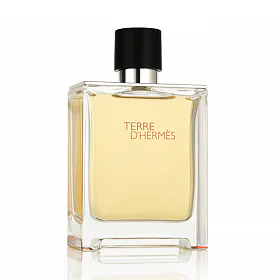 Hermès Terre D'Hermès Perfumy 200 ml M