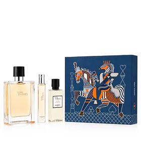 Hermes Terre D'Hermès zestaw dla mężczyzn Woda toaletowa 100 ml + Woda toaletowa 15 ml + Woda po gol
