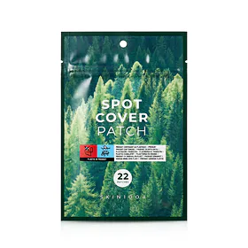 SKIN1004 Madagascar Centella Tea-Trica Spot Cover Patch 22 ks
